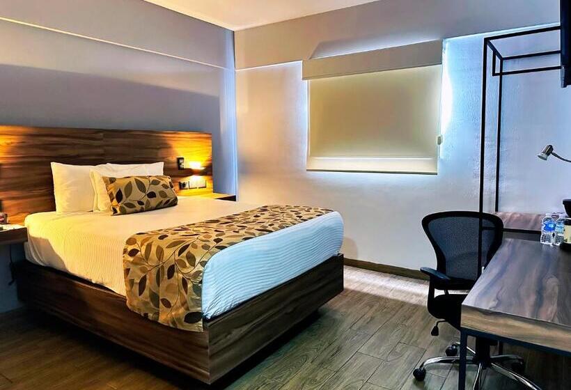 スタンダードルーム, Sleep Inn Mazatlan