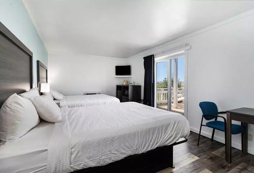 デラックスルーム, Snyders Shoreline Inn