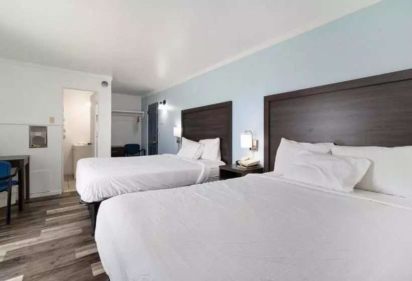 デラックスルーム, Snyders Shoreline Inn