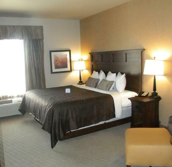 חדר דחוקס עם מיטת קינג, Teddy's Residential Suites Watford City