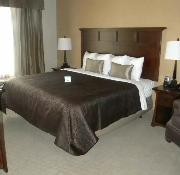Standard-huone King-vuode, Teddy's Residential Suites Watford City