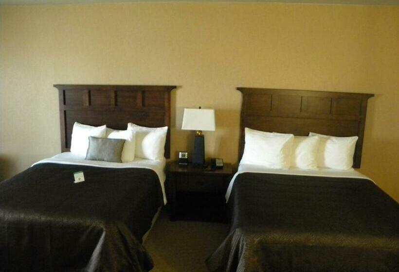 חדר סטנדרט, Teddy's Residential Suites Watford City