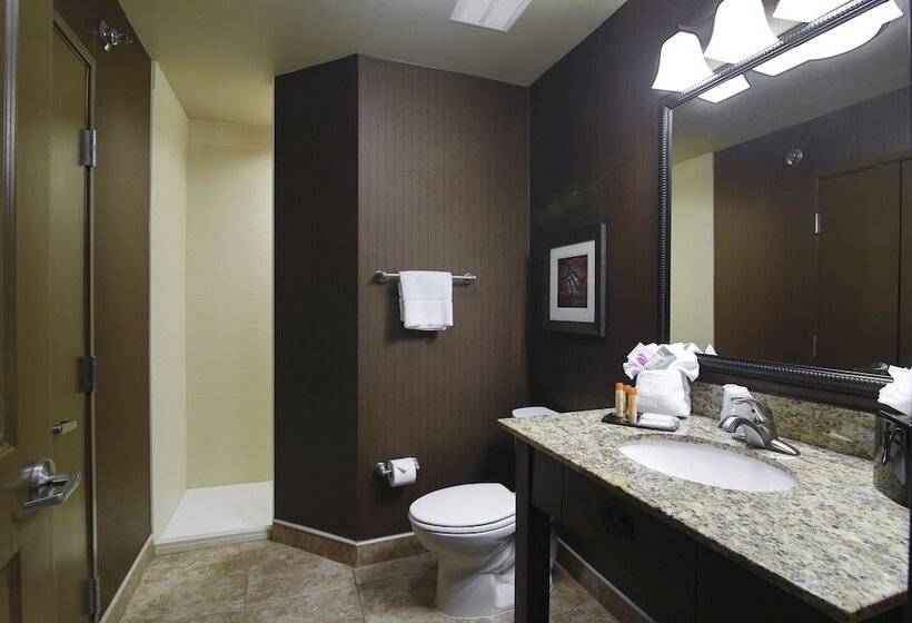 חדר דלוקס, Teddy's Residential Suites Watford City