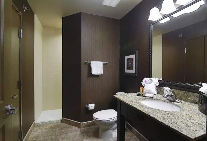 Deluxe-huone, Teddy's Residential Suites Watford City