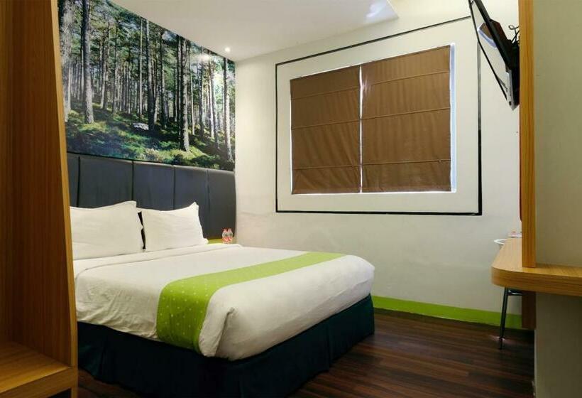 غرفة ديلوكس, Arbor Biz