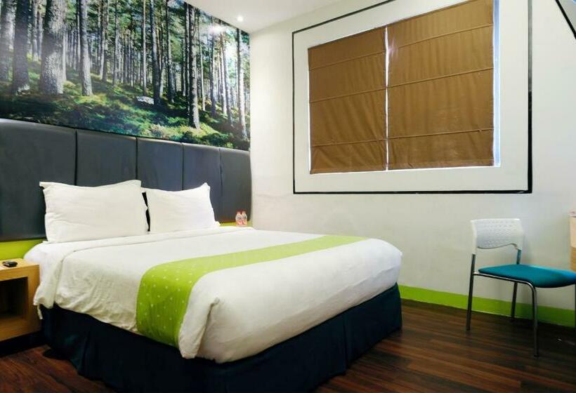 غرفة ديلوكس, Arbor Biz