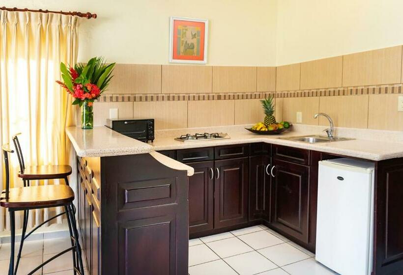 إستوديو قياسى, Cabarete Palm Beach Condos