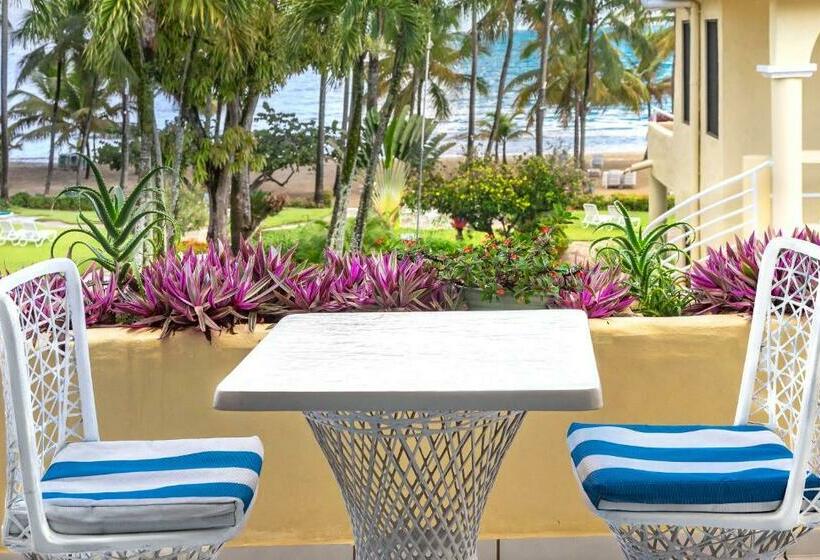 إستوديو قياسى, Cabarete Palm Beach Condos