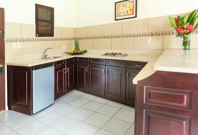 Студия Стандарт, Cabarete Palm Beach Condos