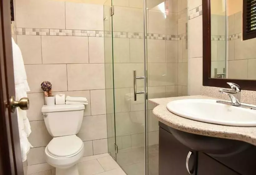 استودیوی استاندارد, Cabarete Palm Beach Condos