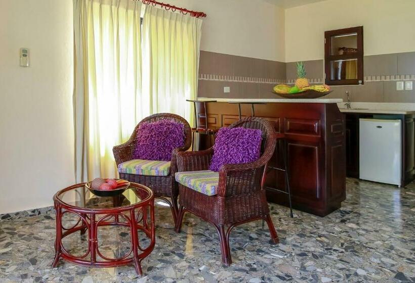 إستوديو قياسى, Cabarete Palm Beach Condos