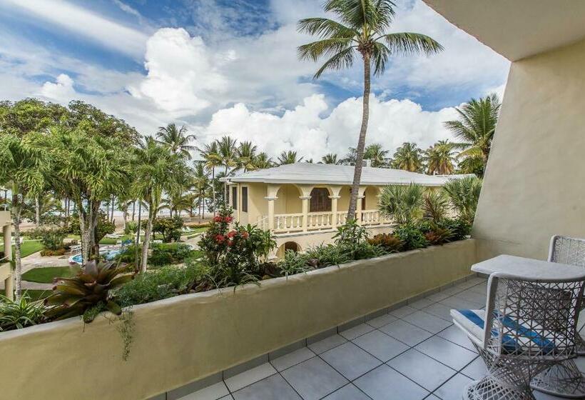 إستوديو قياسى, Cabarete Palm Beach Condos