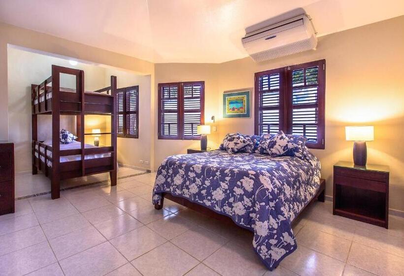 شقة دور أخير غرفة نوم واحدة, Cabarete Palm Beach Condos