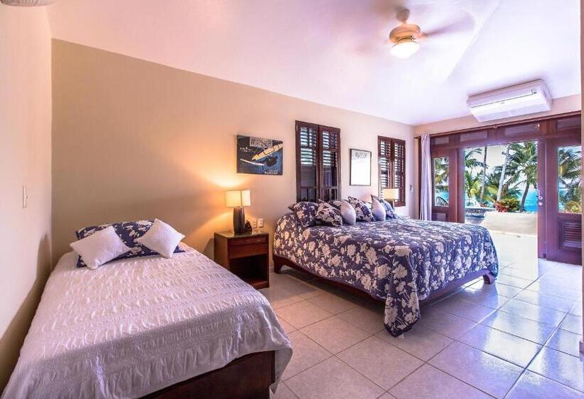 شقة دور أخير غرفة نوم واحدة, Cabarete Palm Beach Condos