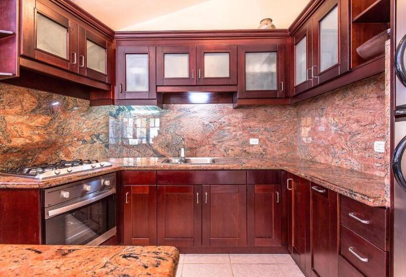 شقة دور أخير غرفة نوم واحدة, Cabarete Palm Beach Condos