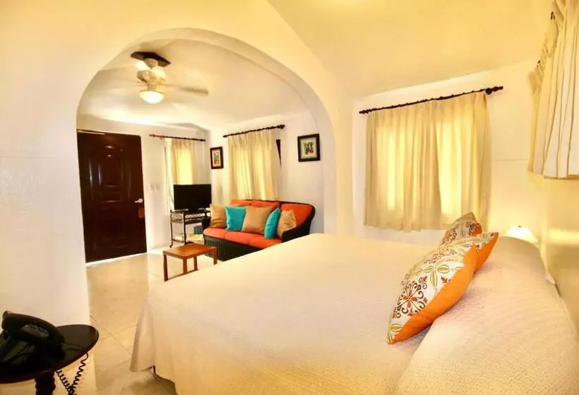 اتاق اکونومی, Cabarete Palm Beach Condos
