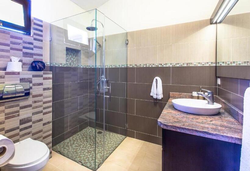 Апартаменты Пентхаус 1 Спальня, Cabarete Palm Beach Condos