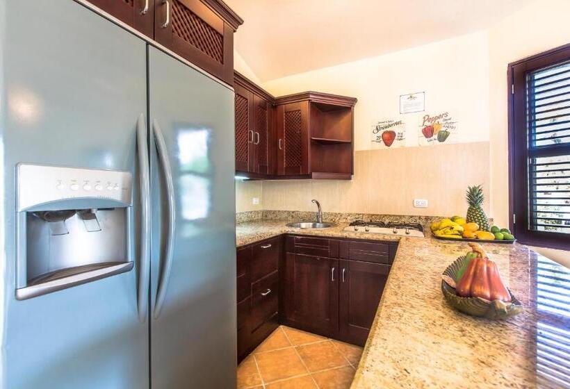 شقة دور أخير غرفة نوم واحدة, Cabarete Palm Beach Condos