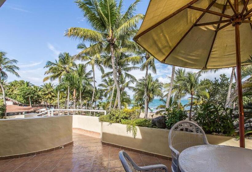 شقة دور أخير غرفة نوم واحدة, Cabarete Palm Beach Condos