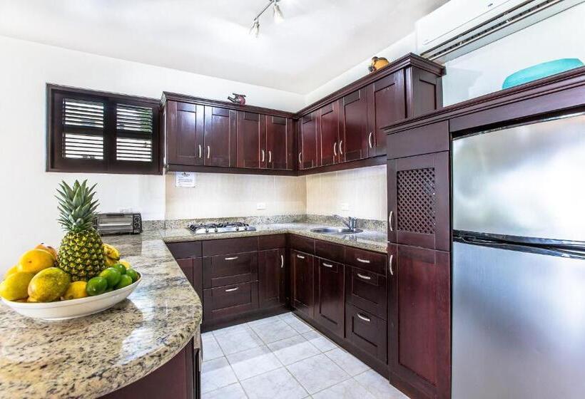 شقة غرفتين, Cabarete Palm Beach Condos