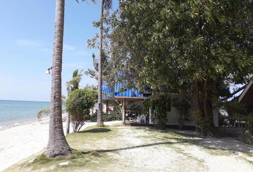 Bungalow Standard, Coco Garden Resort