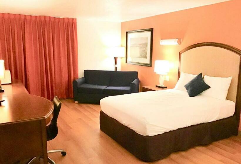 带大床的标准间, 7 Boutique