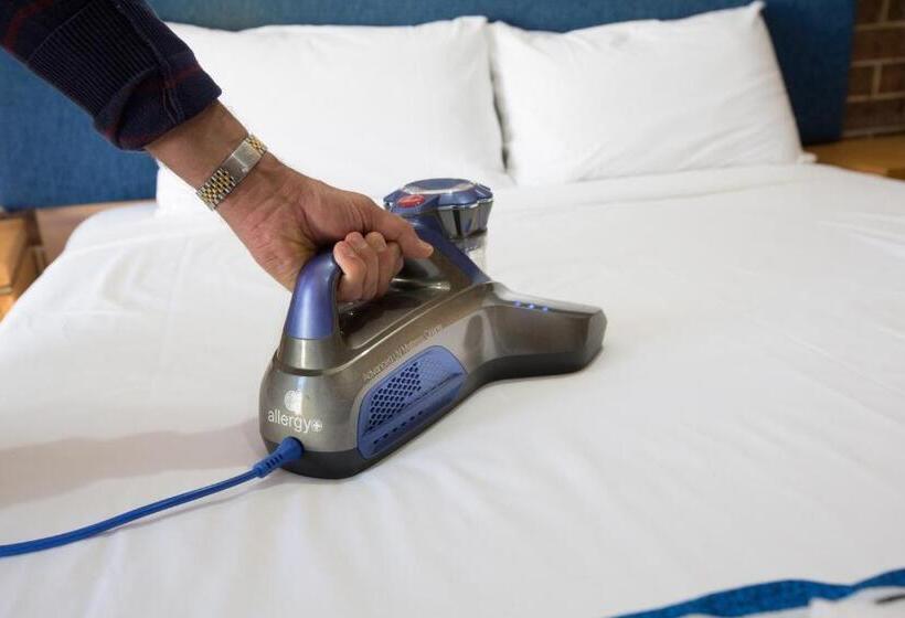 经典家庭房间, Buccaneer Motel