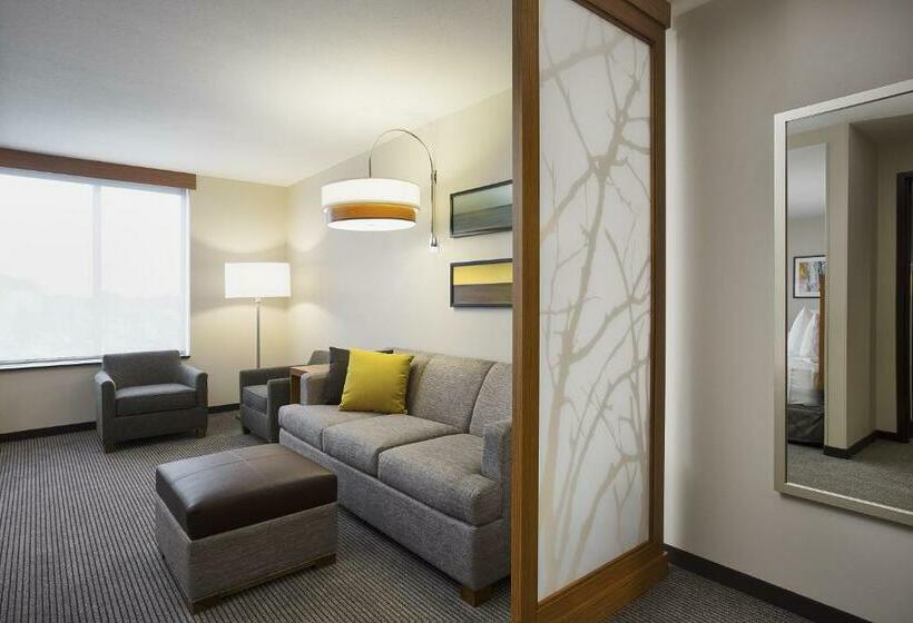 Стандартный Номер Кровать Кинг, Hyatt Place Chicago Midway Airport