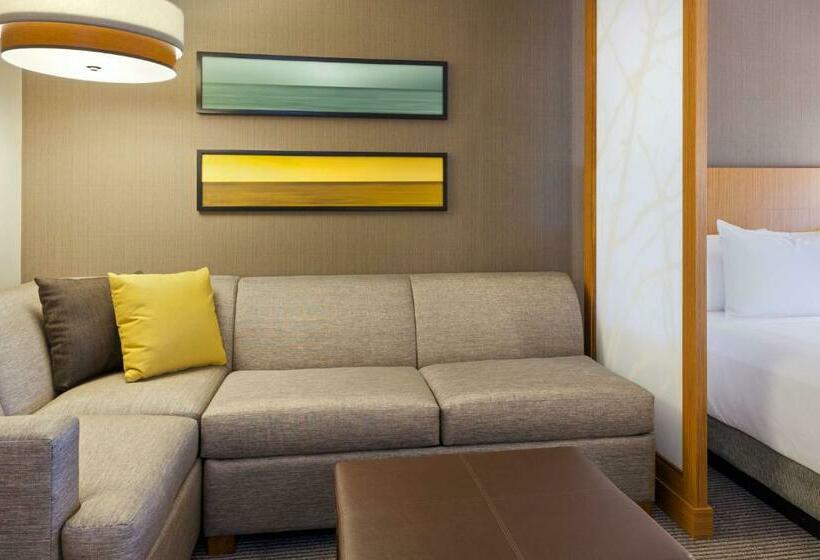 Quarto Standard Cama King, Hyatt Place Chicago Midway Airport