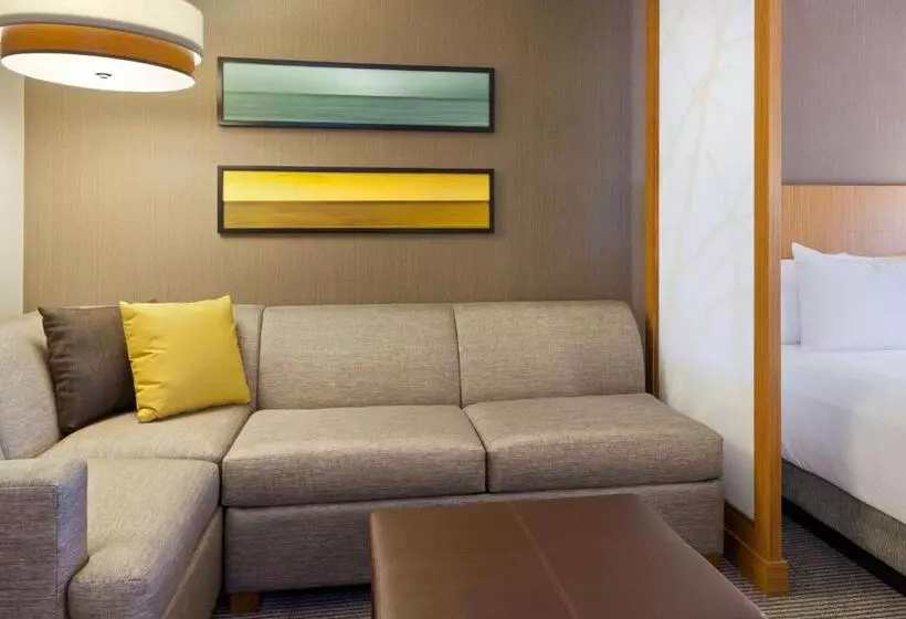２ダブルベッドのスタンダードルーム, Hyatt Place Chicago Midway Airport