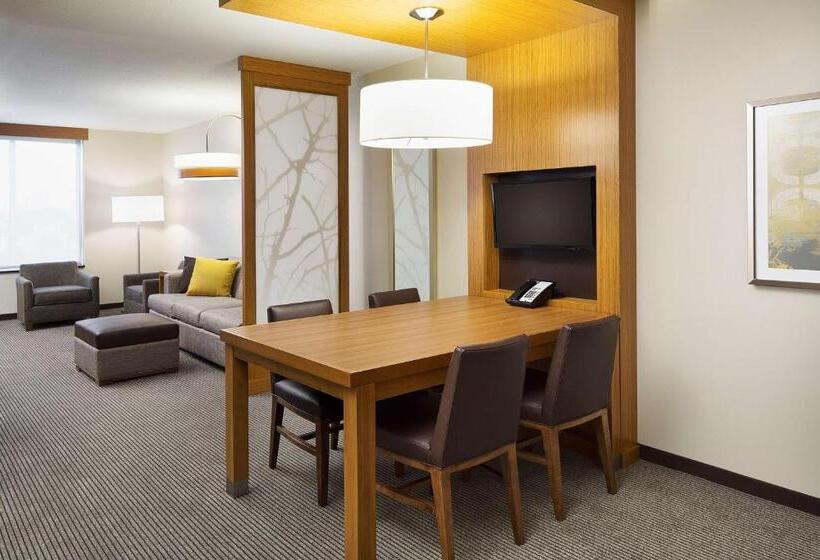 Стандартный Номер Кровать Кинг, Hyatt Place Chicago Midway Airport