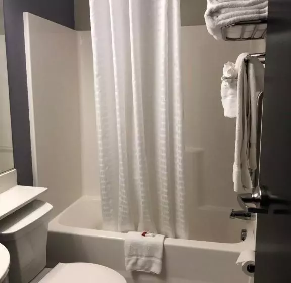 スタンダードルーム, Microtel Inn & Suites By Wyndham Cadiz