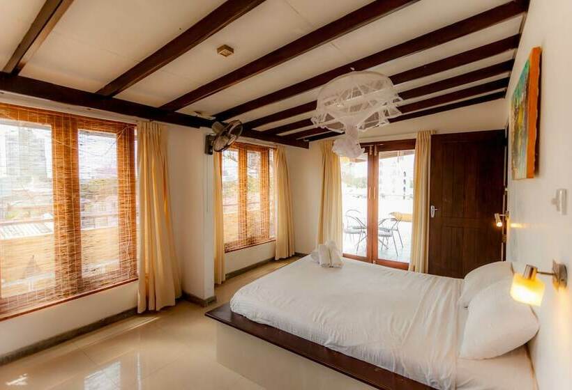 디럭스 룸, Colpetty House