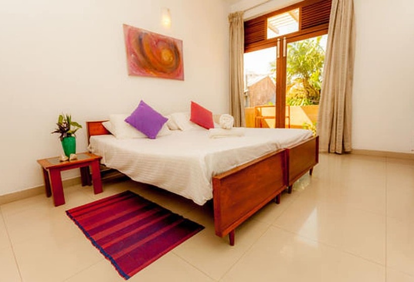 디럭스 룸, Colpetty House