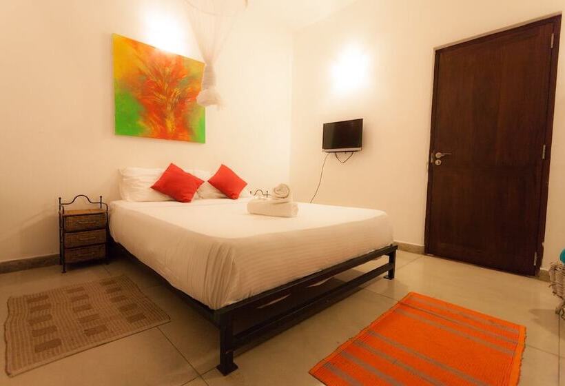 디럭스 룸, Colpetty House