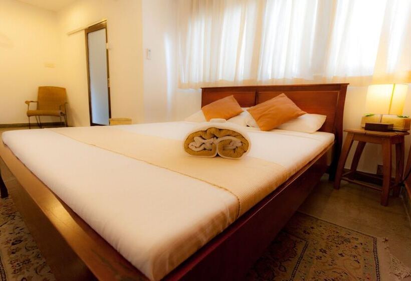 스탠다드 룸, Colpetty House