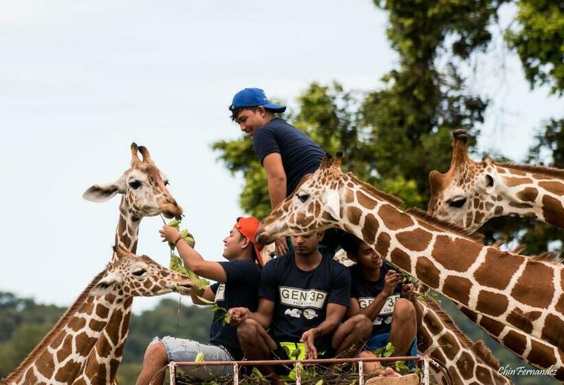 اتاق سوپریور سه تخته, Darayonan Lodge