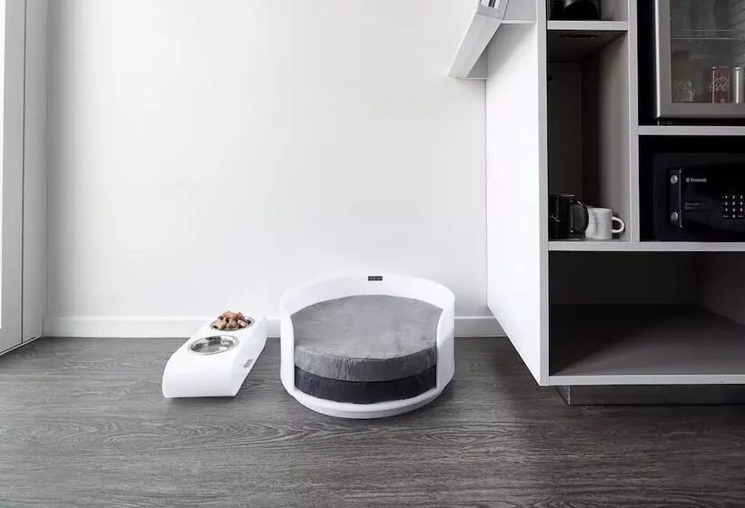 اتاق استاندارد برای معلولان, Innside by Meliá New York Nomad