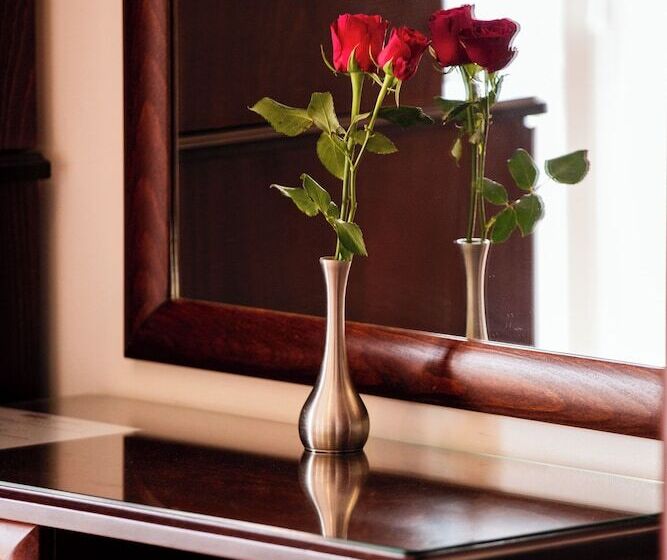 Номер Стандарт Вид на Море, Kymata