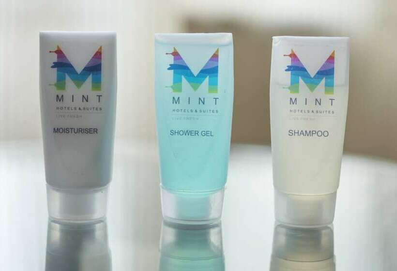 חדר אקזקיוטיב, Mint Domestic Airport Suites