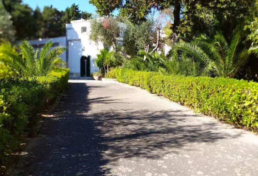 آپارتمان 1 خوابه با تراس, Tenuta Belvedere