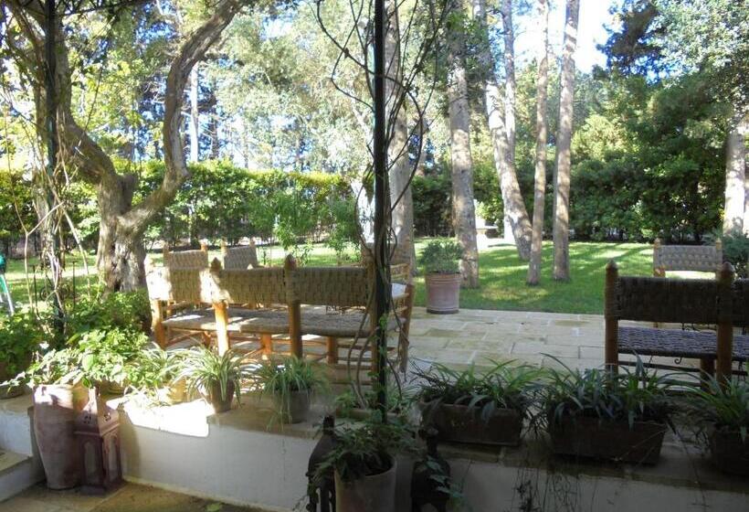 Quarto Clássico com Terraço, Tenuta Belvedere