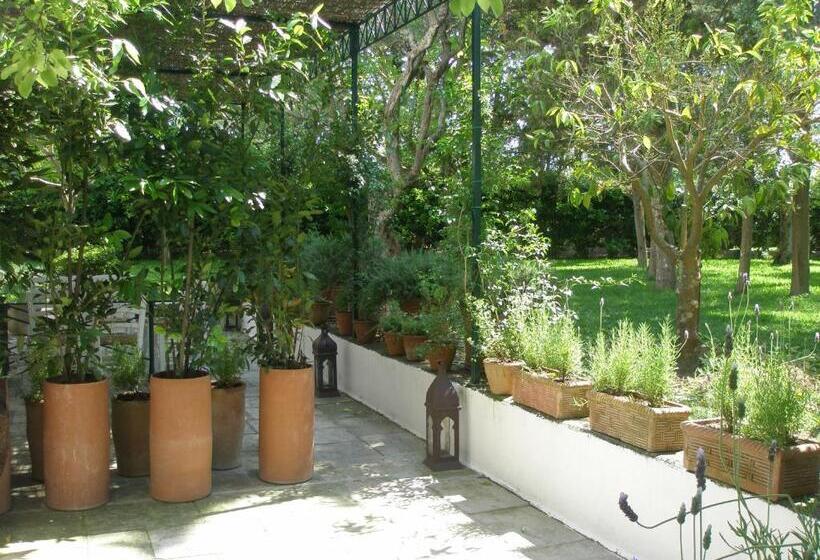Quarto Clássico com Terraço, Tenuta Belvedere
