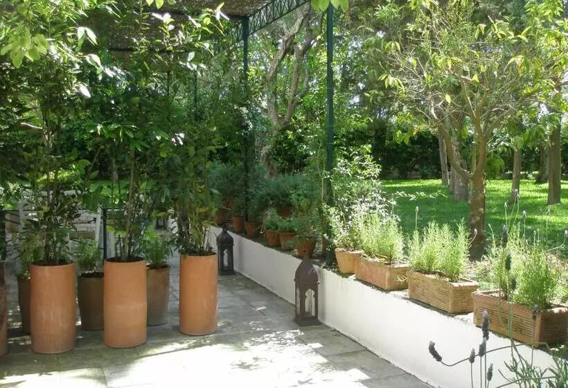 اتاق کلاسیک با تراس, Tenuta Belvedere