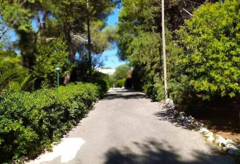 اتاق اکونومی, Tenuta Belvedere