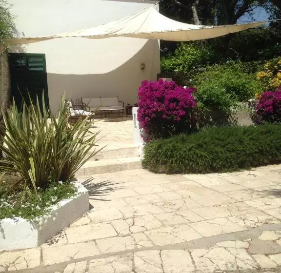 اتاق اکونومی, Tenuta Belvedere