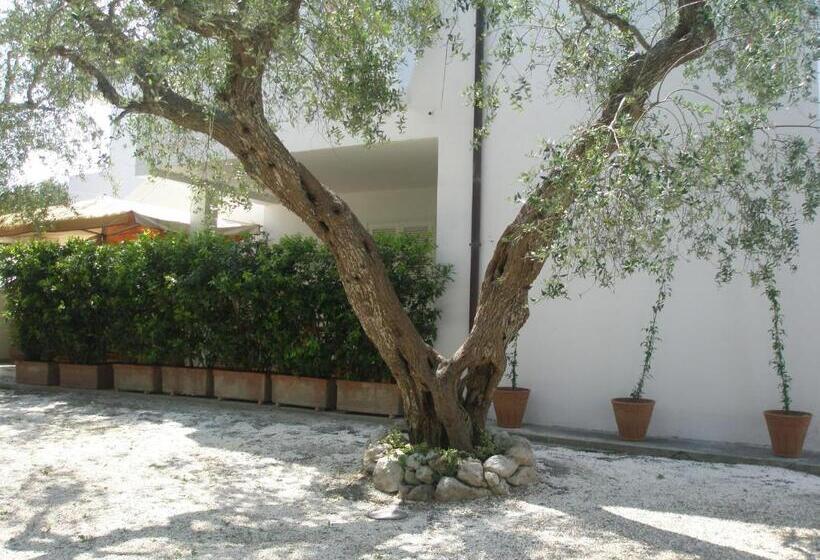 Apartamento 2 Dormitórios, Tenuta Belvedere