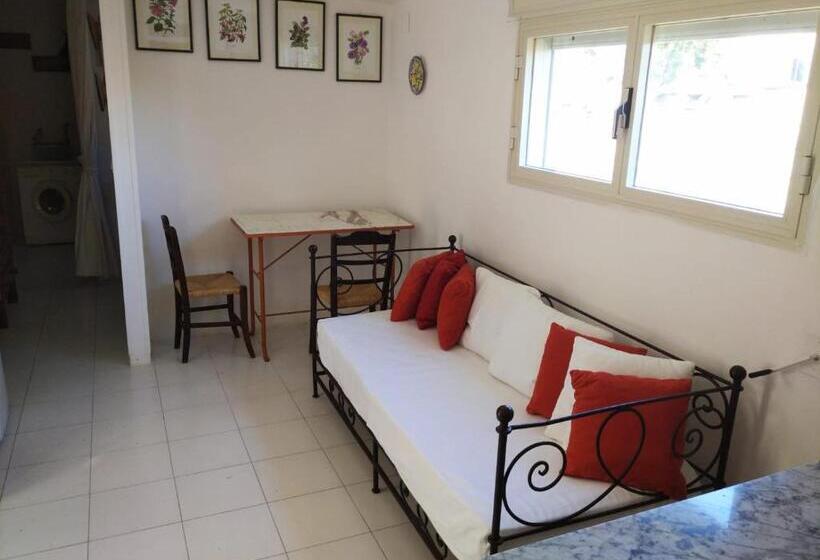 Apartamento 1 Dormitório com Terraço, Tenuta Belvedere