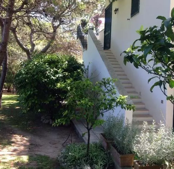 اتاق کلاسیک با تراس, Tenuta Belvedere