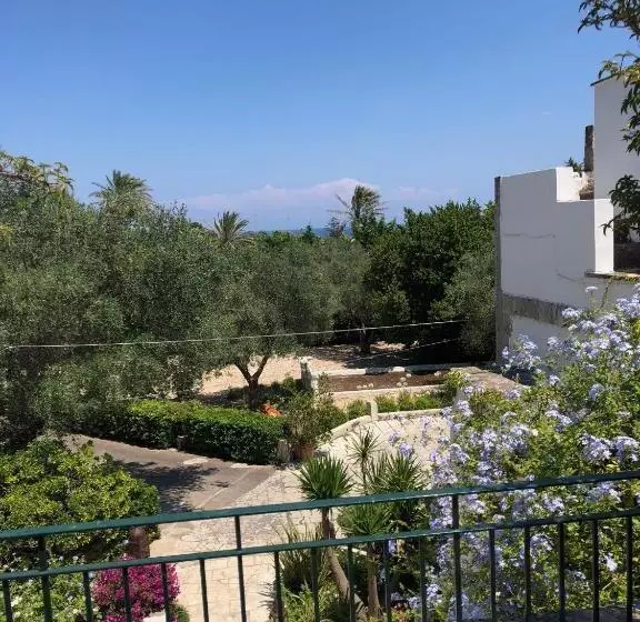 اتاق اکونومی, Tenuta Belvedere